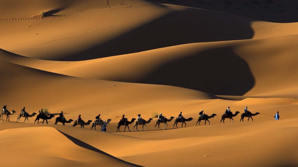 Migration Towards Madina