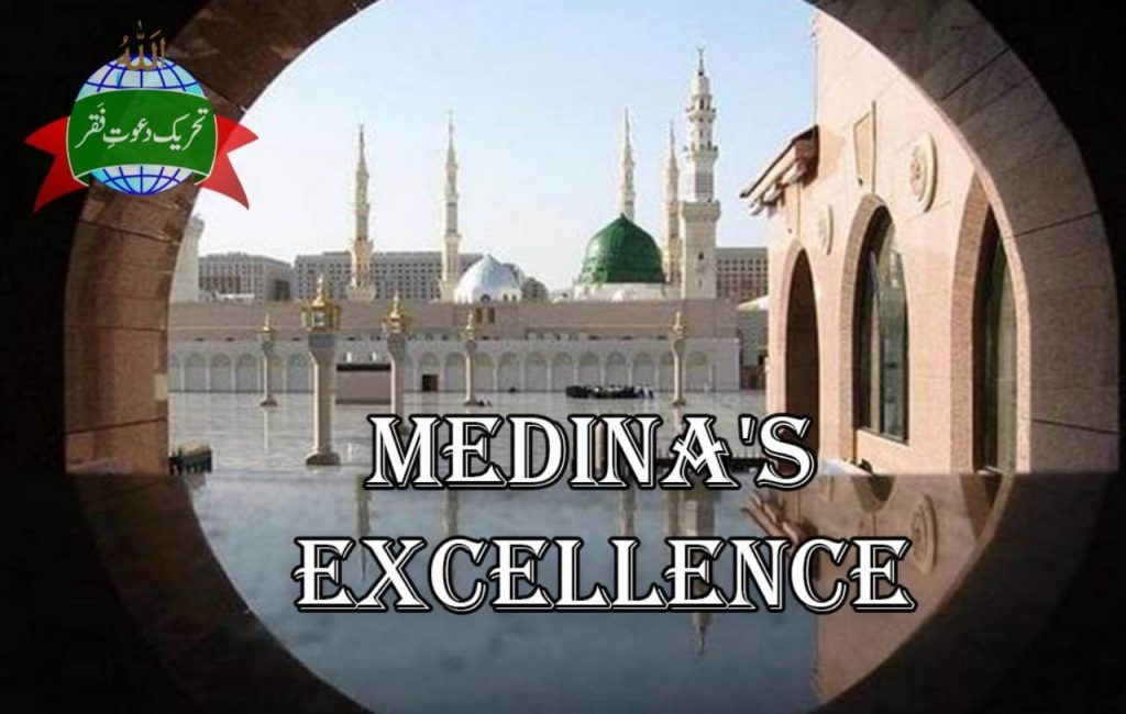 Medina Excellence