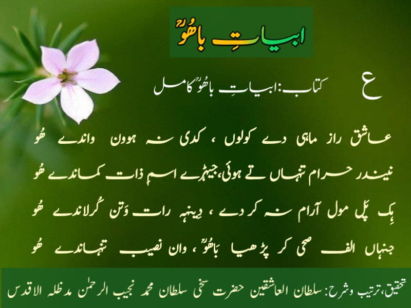 Abyat-e-Bahoo-Ain