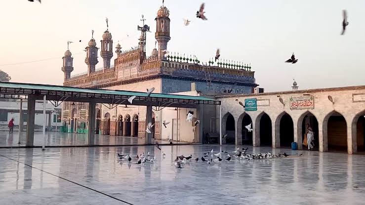 Sultan Bahoo