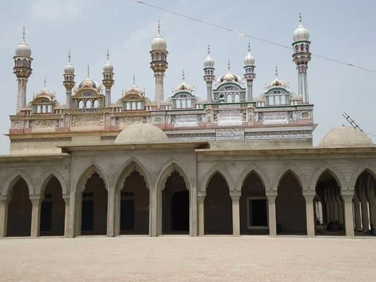 Bahadur_Ali_Shah